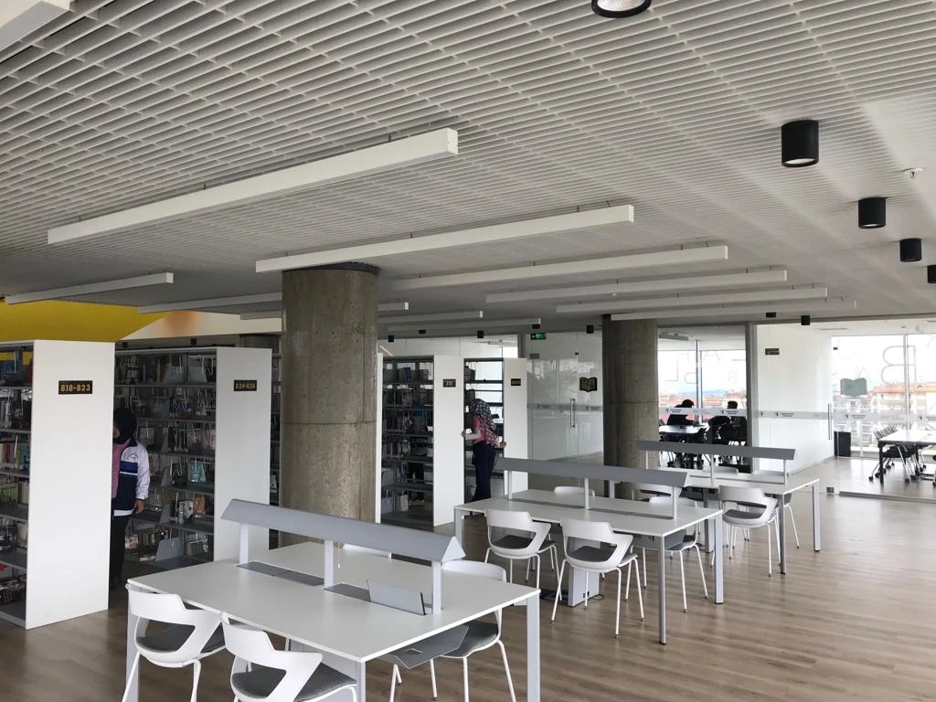 Quadroline Petek Tavan Modelleri